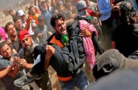 مدى البرتقال.. رحلة بصرية فلسطينية على مر عقود 