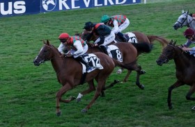 «خيول ياس» تنافس في سباقي فرنسا