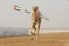 شاهين يخطف فوزًا ثمينًا في الشوط الثاني للحقايق وينفرد بأفضل زمن و مزون تفوز بالثالث 