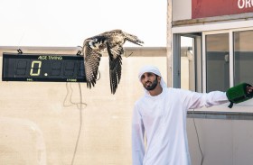 مهرجان ليوا الدولي.. منافسات «البيرن آوت» تنطلق اليوم في «مرعب»