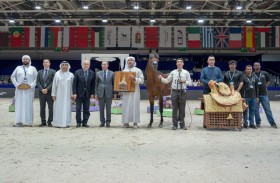المرابط الإماراتية تحصد 12 لقباً في بطولة المغرب الدولية لجمال الخيل العربية