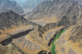 محمية الوريعة .. بيئة حاضنة للطيور النادرة والمهاجرة