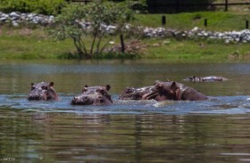 إسكوبار يتسبب بـ كابوس بيئي في كولومبيا