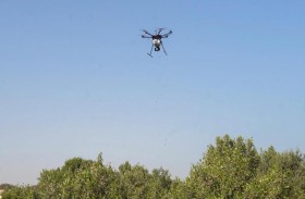 هيئة البيئة وإنجي تعلنان انتهاء المرحلة الثانية من مشروع إعادة تأهيل القرم