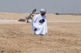 «أف 3» و«الظفرة» يحققان الريادة في انطلاق بطولة فزاع للصيد بالصقور