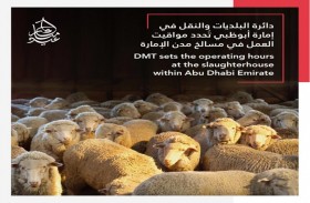 دائرة البلديات والنقل تستكمل استعدادات المسالخ لتقديم خدمات الأضاحي خلال عيد الأضحى