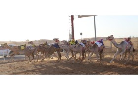 منافسات سباق سن الفطامين تواصل منافساتها بميدان الذيد