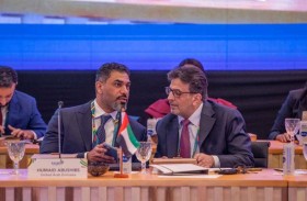 الإمارات للمحاسبة يشارك في قمة  الأجهزة العليا للرقابة المالية والمحاسبة في البرازيل