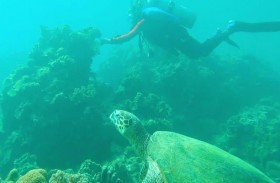 غواصون يلتقطون نفايات من مياه شواطئ الفلبين