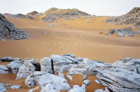 هل دخلت إيران فعلا سباق التنافس على اليورانيوم بالنيجر  ؟