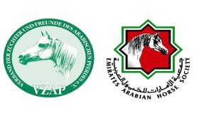 اتفاق إماراتي ألماني يفتح آفاقاً جديدة أمام سجل أنساب الخيل العربية عالمياً