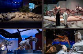 أبوظبي تعزز مكانتها مركزاً عالمياً للثقافة والسياحة