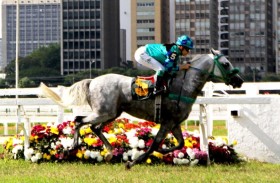 المارد ونورمانديا يتوّجان بكأسي الوثبة ستاليونز في البرازيل