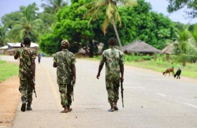 جيش موزمبيق: مقتل عدد كبير من المسلحين في بالما