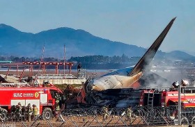 خبراء يشككون في أن يكون الاصطدام بطائر تسبب في تحطم طائرة الركاب الكورية الجنوبية 