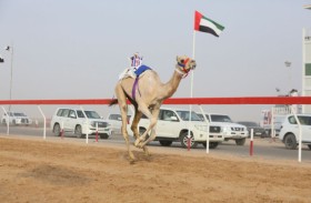 تألق الدرعية في سن الفطامين بقطعها 1500 متر وحققت أفضل زمن ومفنود يتصدر الثاني