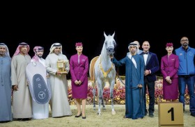 عمار النعيمي يشهد ختام بطولة كتارا الدولية لعروض الخيل العربية