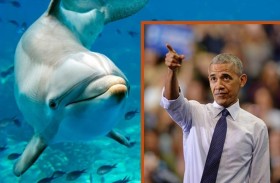 محيطاتنا.. مسلسل وثائقي بصوت أوباما