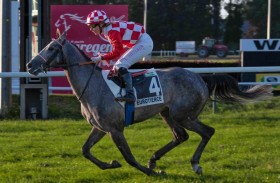 اليوم.. انطلاق كأس فاطمة بنت مبارك للخيول العربية الأصيلة في إسبانيا