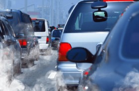 أستراليا.. فقدان سيارات من السوق بسبب تعشش الحشرات