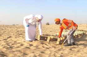 جمع 9.4 طن من المخلفات على الشواطئ والمناطق الصحراوية والسكنية