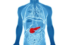 عوامل خطر الإصابة  بسرطان البنكرياس