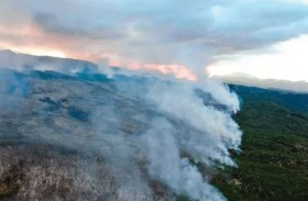 حريق يلتهم مساحات شاسعة من موقع بلائحة التراث العالمي