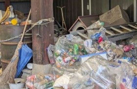 100 قطة نافقة داخل منزل يابانية