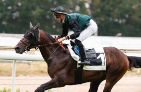 الجواد «إيشان» يتوج بكأس فاطمة بنت مبارك للخيول العربية في إسبانيا