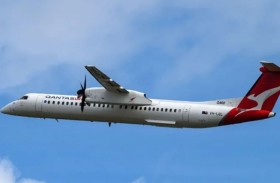 طائر يُجبر طائرة على الهبوط مرتين 