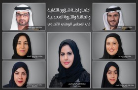 لجنة بـ  «الوطني الاتحادي» تناقش «دور  وزارة الطاقة في شأن تطوير الصناعات الوطنية»