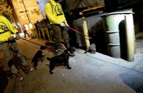 الكلاب تساهم في التخلص من جرذان واشنطن