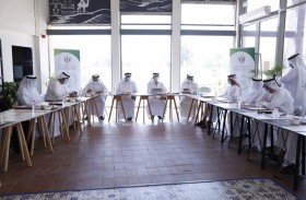 البلديات تنظم اللقاء التنسيقي  في إمارة الشارقة