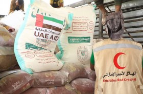 الإمارات تدعم 28 ألف صياد بالساحل الغربي لليمن