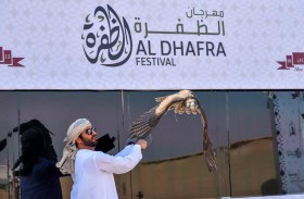 « حبيب» يحلق بذهبية «الجير بيور» و «545»  يتصدر الـ «قرموشة» في مهرجان الظفرة للصيد بالصقور 