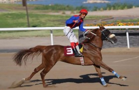 انطلاق كأس منصور بن زايد للخيول في الكويت بمشاركة 14 خيلا