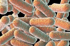 خبير يحذر من انتشار «البكتيريا الخارقة»