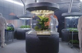 كيف نجح العلماء في زراعة نباتات صالحة للأكل على الكوكب الأحمر؟