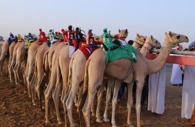 اختتام منافسات سباق سن الفطامين بميدان الذيد