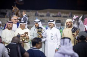 دي شيهانة ودي شهار ملكان في القمة ودي شرار أمير الأفحل