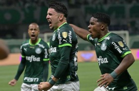 بالميراس ينفرد بصدارة الدوري البرازيلي