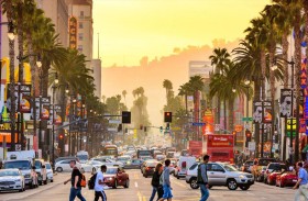 «أطفال للبيع» في لوس أنجلوس.. ما القصة؟