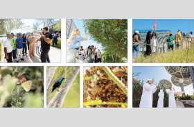 اكتشفوا دبي برؤية مختلفة، تيرّا توثق الحياة البريّة من حولنا مع تحدي طبيعة المدينة 