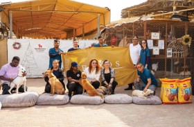 ريكسوس بريميوم دبي يحتفي بالعام الجديد بزيارة  إنسانية إلى مركز رعاية وإنقاذ الكلاب الضالة في أم القيوين