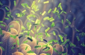 اكتشاف مركّب من بكتيريا الأمعاء مضاد لمرض السكري