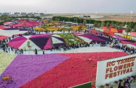 مهرجان ينبع للزهور يحقق إنجازات في غينيس