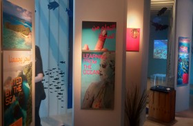 جناح بالاو يعرض أول محمية لسمك القرش والجزر الصخرية في الهادي في أكسبو 2020