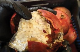 مخدرات داخل شحنة رمان