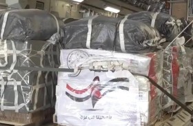 الإمارات ومصر تنفذان الإسقاط الجوي الـ 11 للمساعدات الإنسانية شمال قطاع غزة 