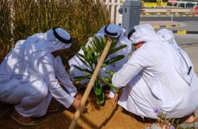 اقتصادية عجمان تُنظّم مبادرة «غرس الاستدامة» 